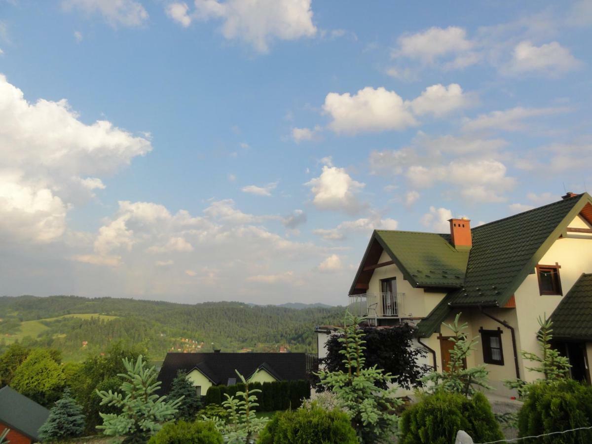 Wilkowka Villa โวลโคเวยา ภายนอก รูปภาพ